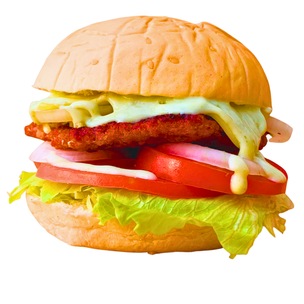 ham con carne casera (2)